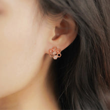 Load image into Gallery viewer, ME643 925 Silver Honeycomb Earrings
