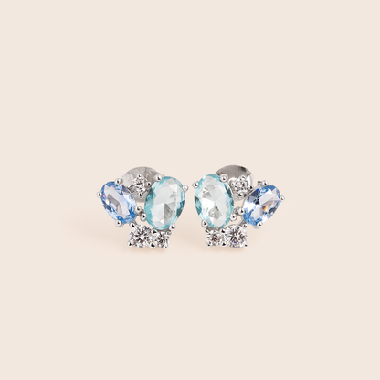 ME699 925 Silver Foama Earrings